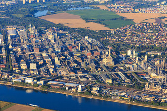 Aerial view of District BASF in Ludwigshafen am Rhein in the state Rhineland-Palatinate, Germany