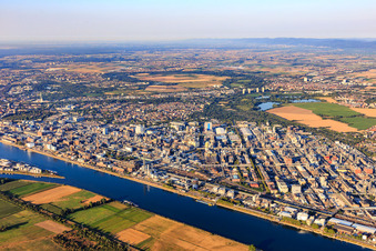 District BASF in Ludwigshafen am Rhein in the state Rhineland-Palatinate, Germany from the drone perspective