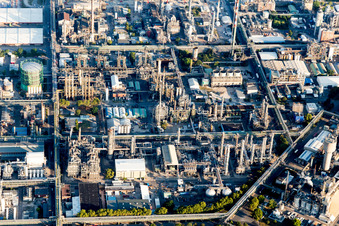 District BASF in Ludwigshafen am Rhein in the state Rhineland-Palatinate, Germany from above