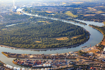 Aerial view of Kaiserwörthhafen and Reisinsel on the other side of the Rhine in the district Mundenheim in Ludwigshafen am Rhein in the state Rhineland-Palatinate, Germany