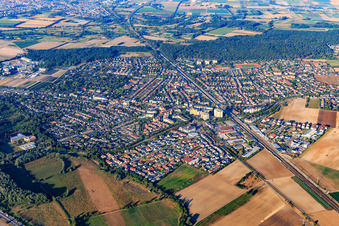 View of the town from the northeast in Limburgerhof in the state Rhineland-Palatinate, Germany