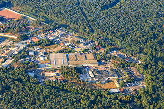 Carl-Benz-Straße industrial area with G. Staehle GmbH & Co. and Türmerleim GmbH in Schifferstadt in the state Rhineland-Palatinate, Germany