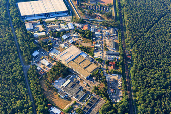 Aerial view of Carl-Benz-Straße industrial area with G. Staehle GmbH & Co. and Türmerleim GmbH in Schifferstadt in the state Rhineland-Palatinate, Germany