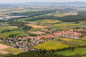 From the northeast in Erlenbach bei Kandel in the state Rhineland-Palatinate, Germany