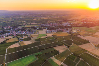 View of the town at sunrise from the southwest in the district Ingenheim in Billigheim-Ingenheim in the state Rhineland-Palatinate, Germany