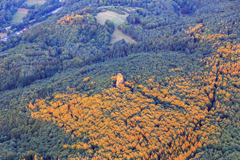 Bunter sandstone rock in the forest in Waldhambach in the state Rhineland-Palatinate, Germany