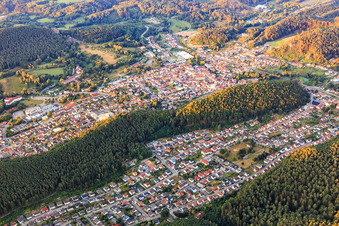 City view in the Palatinate Forest in the morning from the northeast in Dahn in the state Rhineland-Palatinate, Germany