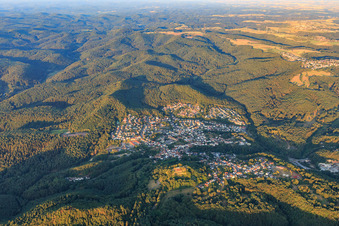 View of the Palatinate Forest in the morning from the east in Lemberg in the state Rhineland-Palatinate, Germany