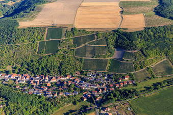 View of the village under the vineyards on the Glan in Raumbach in the state Rhineland-Palatinate, Germany