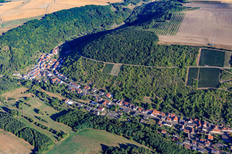Aerial view of View of the village under the vineyards on the Glan in Raumbach in the state Rhineland-Palatinate, Germany