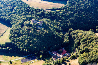 Aerial view of Montfort Castle Ruins in Hallgarten in the state Rhineland-Palatinate, Germany
