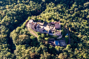 Oblique view of Montfort Castle Ruins in Hallgarten in the state Rhineland-Palatinate, Germany