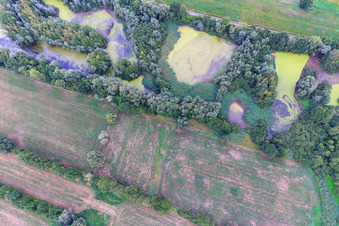 Aerial photograpy of Pond with duckweed in the district Garlstorf in Bleckede in the state Lower Saxony, Germany