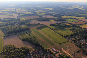 Corn maze in Amelinghausen in the state Lower Saxony, Germany
