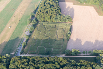 Maze - Labyrinth in a corn-field in Amelinghausen in the state Lower Saxony, Germany