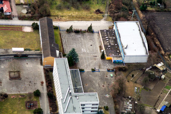Hornbeam School in Hagenbach in the state Rhineland-Palatinate, Germany