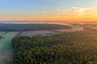 Fields and forests of the Lüneburg Heath in Scharnebeck in the state Lower Saxony, Germany
