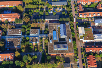 Building with green roof of the Media and Information Center (MIZ) of Leuphana University Lüneburg in the district Bockelsberg in Lüneburg in the state Lower Saxony, Germany