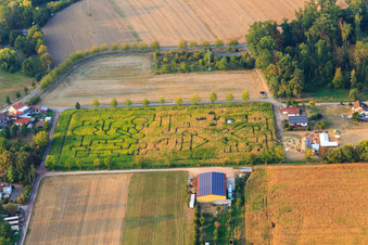 Aerial photograpy of Corn maze at Seehof in Steinweiler in the state Rhineland-Palatinate, Germany