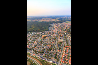 Buchstr in Jockgrim in the state Rhineland-Palatinate, Germany