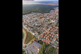 Buchstraße, Forstlandallee in Jockgrim in the state Rhineland-Palatinate, Germany