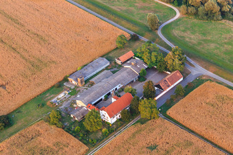 Ludwigsau Estate in the district Maximiliansau in Wörth am Rhein in the state Rhineland-Palatinate, Germany