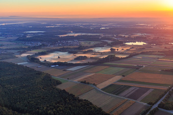 Loop of the Scheidbach with morning mist in Leimersheim in the state Rhineland-Palatinate, Germany