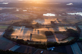 Rhine meadows in the morning mist near Kuhhardt in Rülzheim in the state Rhineland-Palatinate, Germany