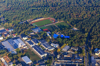 Forest Stadium, Forest Sports Hall Viernheim and Forest Swimming Pool Viernheim in Viernheim in the state Hesse, Germany