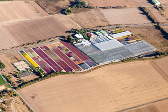 Jörg Wolter Ute Gorges Nursery in the district Hergershausen in Babenhausen in the state Hesse, Germany