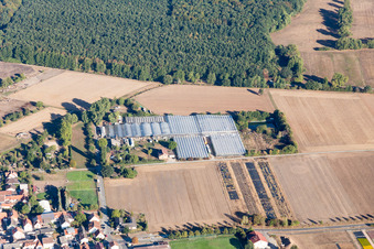 Aerial view of Jörg Wolter Ute Gorges Nursery in the district Hergershausen in Babenhausen in the state Hesse, Germany