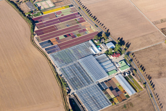 Aerial photograpy of Jörg Wolter Ute Gorges Nursery in the district Hergershausen in Babenhausen in the state Hesse, Germany