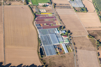 Oblique view of Jörg Wolter Ute Gorges Nursery in the district Hergershausen in Babenhausen in the state Hesse, Germany