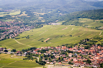 Aerial view of Sonnenberg in the district Schweigen in Schweigen-Rechtenbach in the state Rhineland-Palatinate, Germany