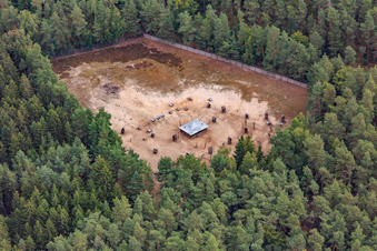RAMSES in Geiselwind in the state Bavaria, Germany