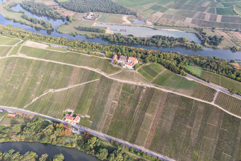 Aerial photograpy of Open-air restaurant Gasthaus Mainaussicht "Gifthuette" in the district Escherndorf in Volkach in the state Bavaria, Germany