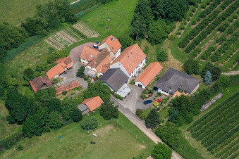 Aerial view of Mill on the Erlenbach in Winden in the state Rhineland-Palatinate, Germany