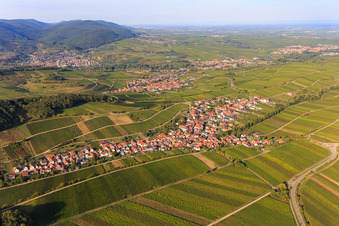 Aerial photograpy of Wine village overview between vineyards from the south in Ranschbach in the state Rhineland-Palatinate, Germany