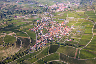 Birkweiler in the state Rhineland-Palatinate, Germany