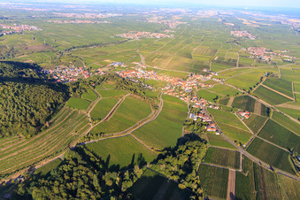 Haardtrand-Annaberg vineyard in Burrweiler in the state Rhineland-Palatinate, Germany