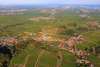 Aerial view of Haardtrand-Annaberg vineyard in Burrweiler in the state Rhineland-Palatinate, Germany