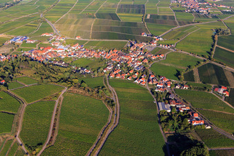 Aerial photograpy of Haardtrand-Annaberg vineyard in Burrweiler in the state Rhineland-Palatinate, Germany