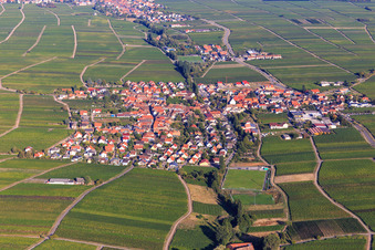 Wine village view between vineyards from the south in Hainfeld in the state Rhineland-Palatinate, Germany