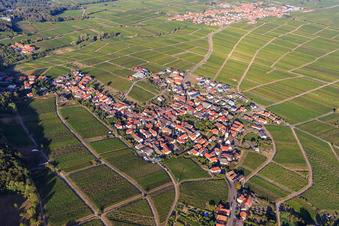 Aerial view of Wine village view between vineyards from the south in Weyher in der Pfalz in the state Rhineland-Palatinate, Germany