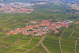 View of the winegrowing village between vineyards from the southwest in Rhodt unter Rietburg in the state Rhineland-Palatinate, Germany
