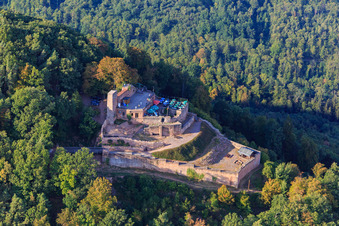 Rietburg Castle Ruins in Rhodt unter Rietburg in the state Rhineland-Palatinate, Germany from the plane