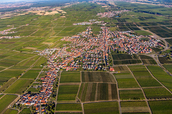 Bird's eye view of Maikammer in the state Rhineland-Palatinate, Germany