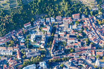 State Library Center RLP in Neustadt an der Weinstraße in the state Rhineland-Palatinate, Germany