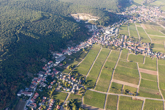 Almond ring in the district Haardt in Neustadt an der Weinstraße in the state Rhineland-Palatinate, Germany