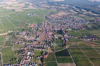 Aerial view of Mussbach in the district Mußbach in Neustadt an der Weinstraße in the state Rhineland-Palatinate, Germany